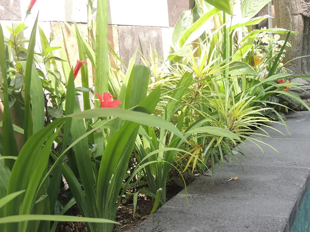 Natha Ubud Villa  Ουμπούντ