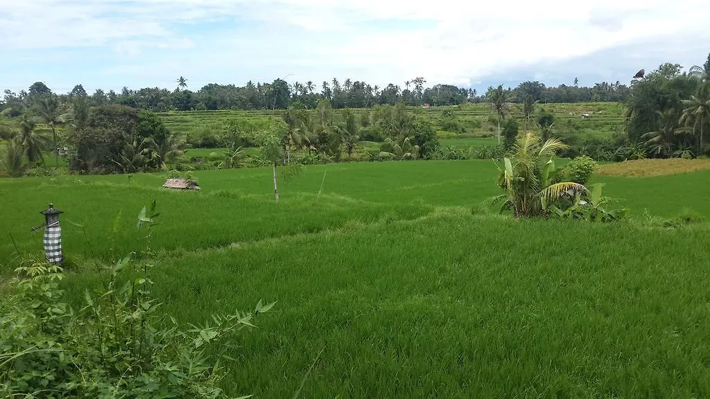 Natha Ubud Villa